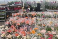 На прилавках сейчас – целое море цветов, мужчинам предстоит непростой выбор.