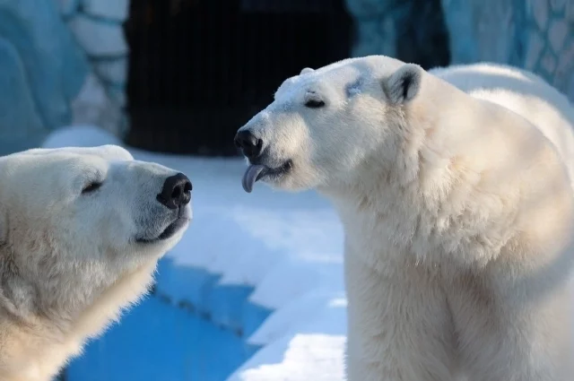 Гостей парка ждут экскурсия, весёлые игры и квиз.