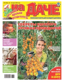 Пять правил идеальной рассады капусты