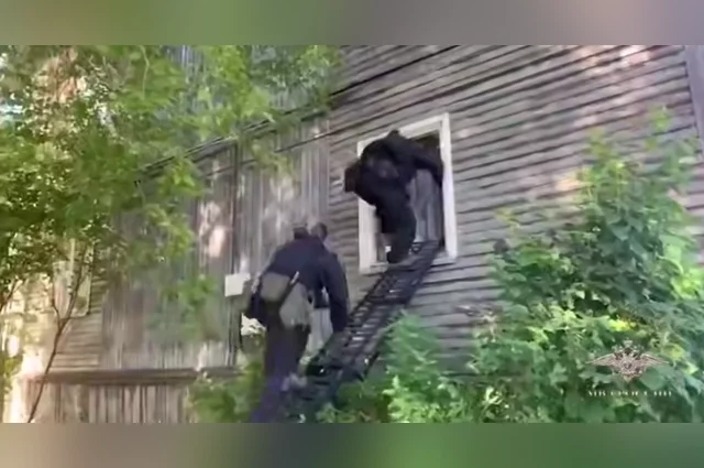 Они находили желающих подписать контракт, брали деньги за «обеспечение» службы в тылу, а потом опустошали их банковские счета. 