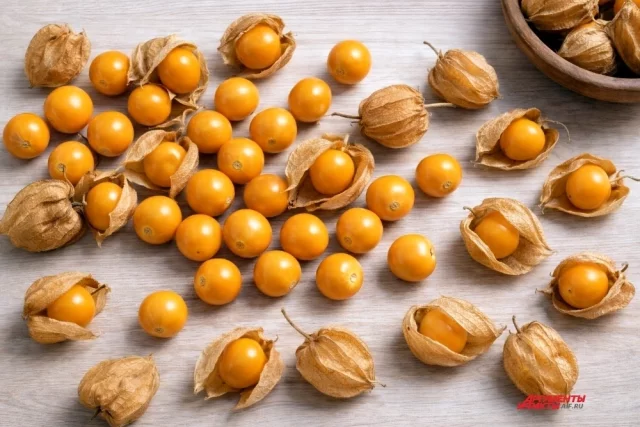 Плоды ягодного физалиса.