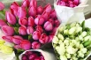 В подарок любимым можно было купить тюльпаны всех возможных цветов.