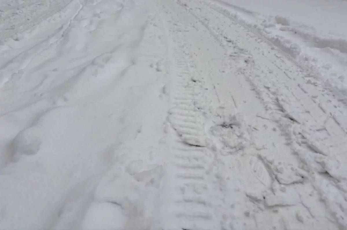 Минниханов назвал уборку снега в РТ «неудовлетворительной»