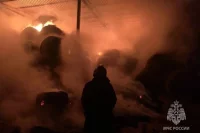 Фото тематическое.