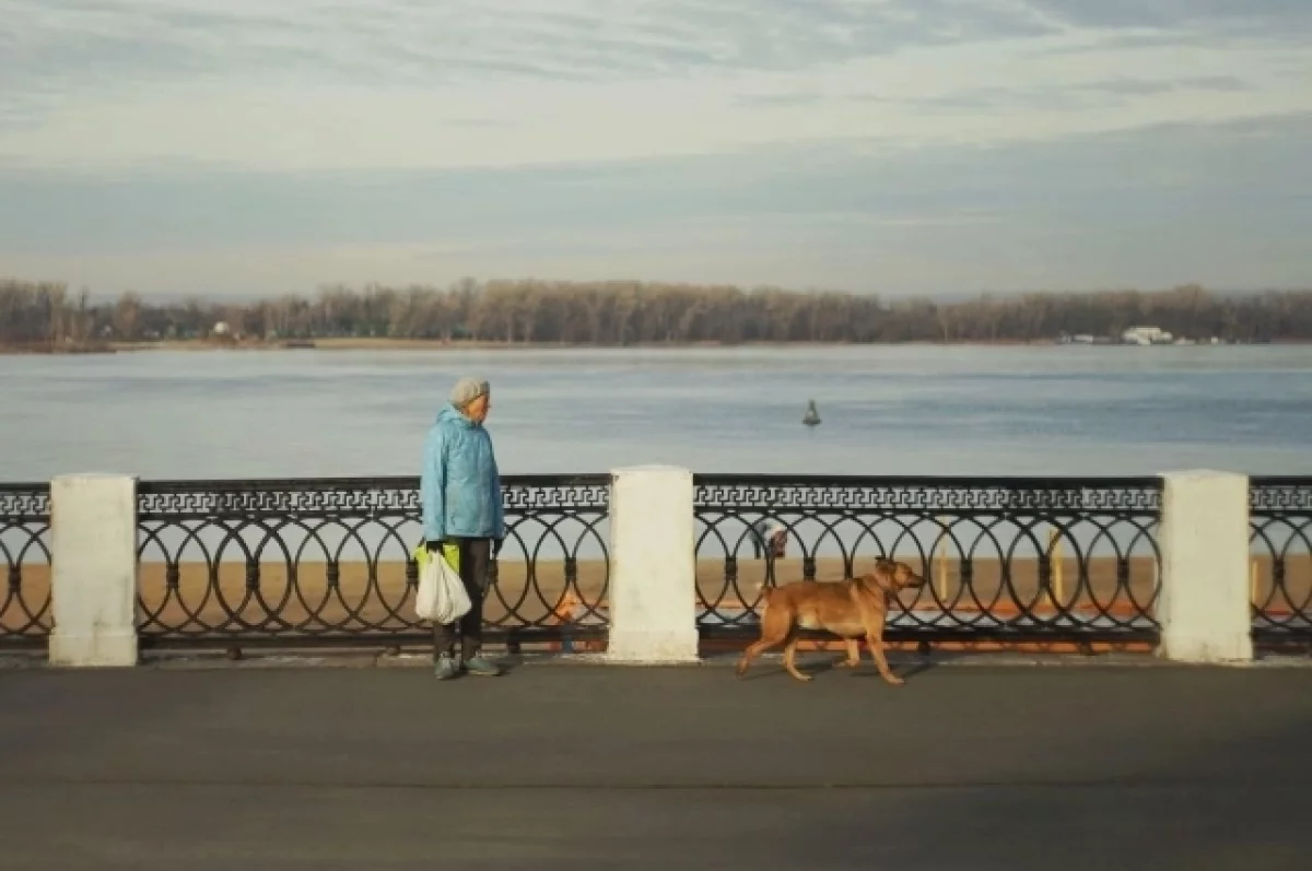 Юрист Дерен — о штрафах для владельцев собак: вплоть до тюрьмы