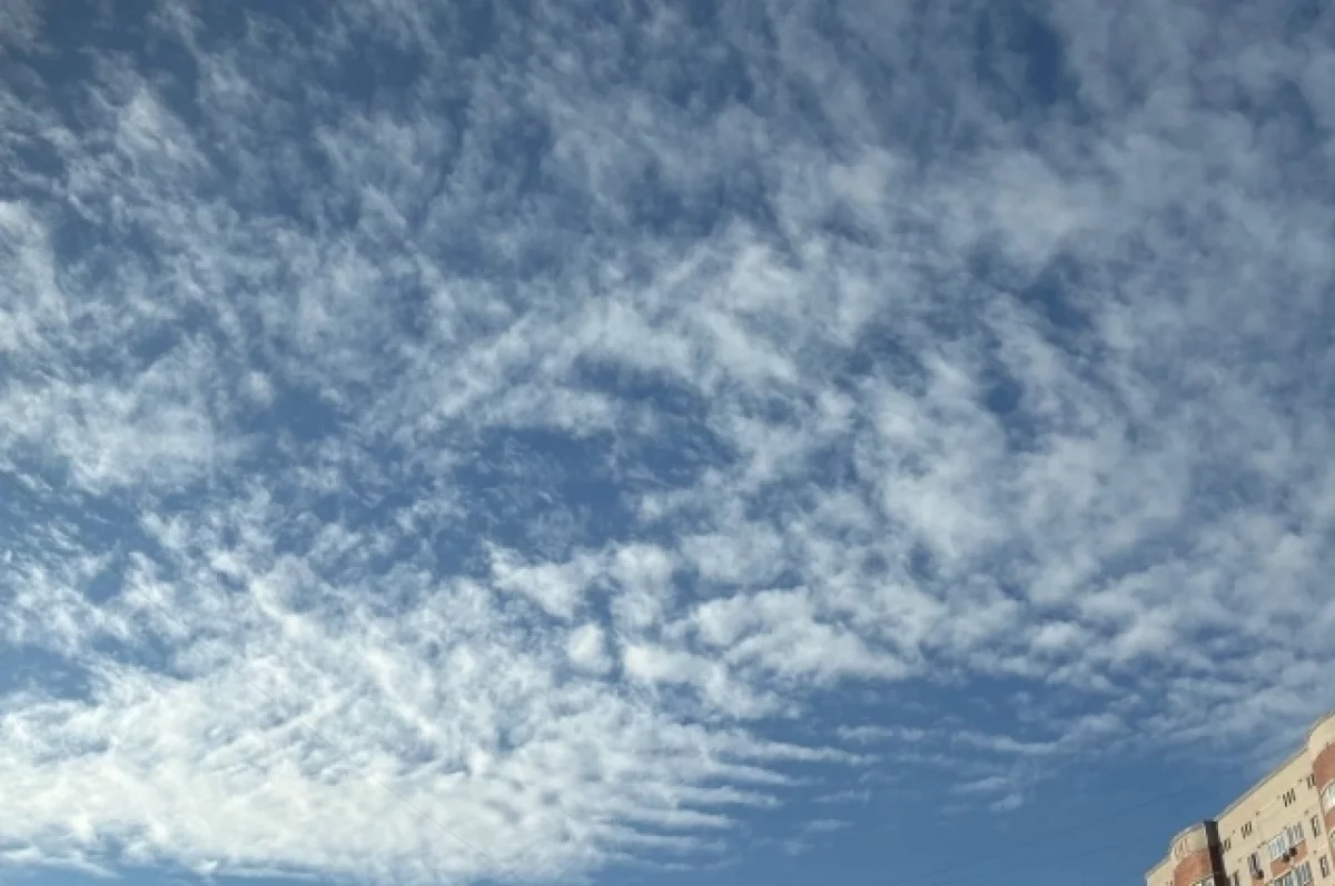 Три теракта предотвратили в Карелии с 2022 года