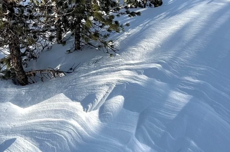Следы людей быстро заметает снег и ветер.