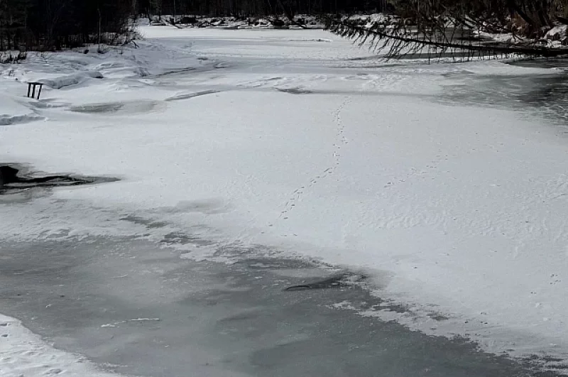 Местность иссечена речками и ручьями. Некоторые уже оттаяли ото льда.