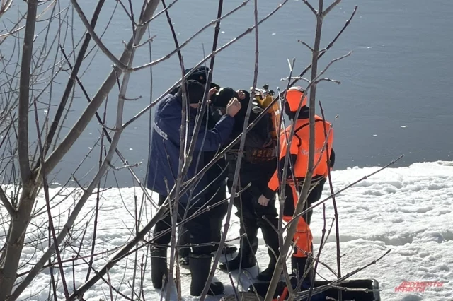 Четвёртый день в Звенигороде продолжаются поиски трёх пропавших без вести детей.
