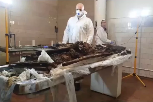 Гроб священника исследовали в лабораторных условиях.