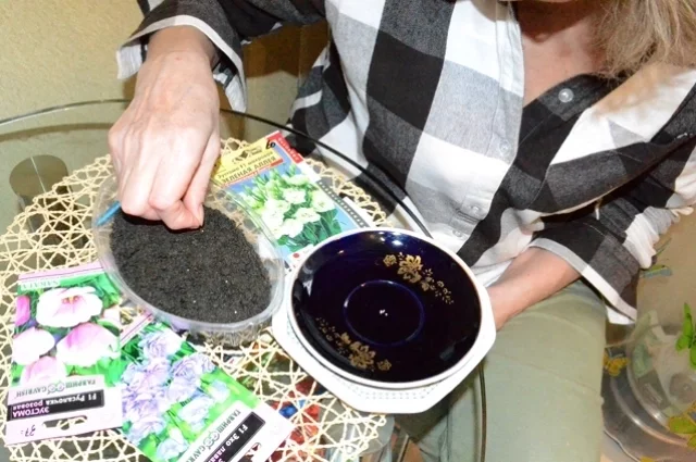 Семена на рассаду надо сеять строго по правилам.