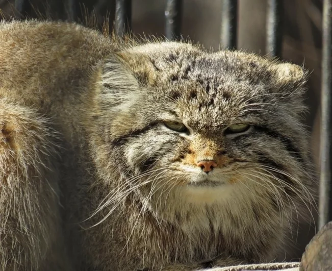 Март 2025 года.