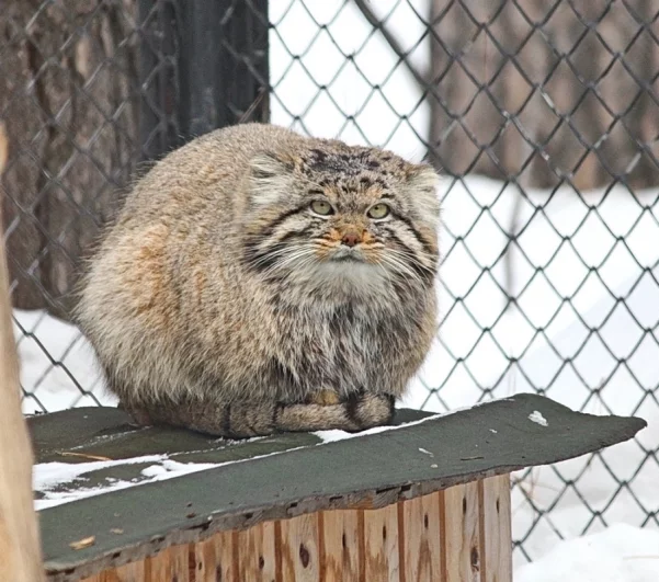 Март 2024 года.