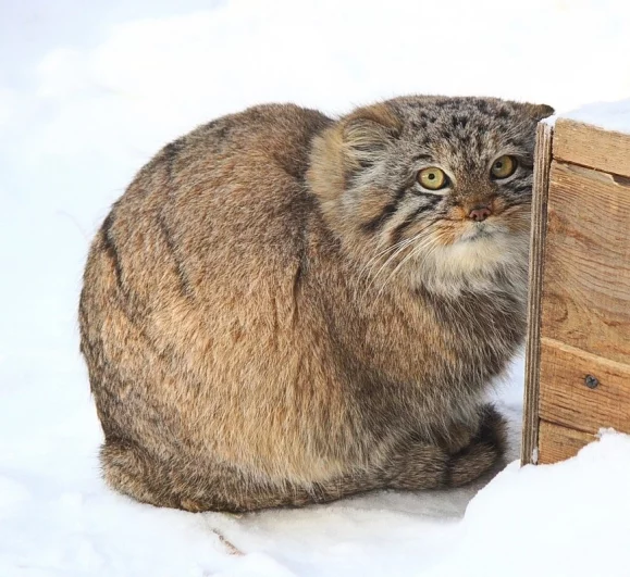 Март 2026 года.