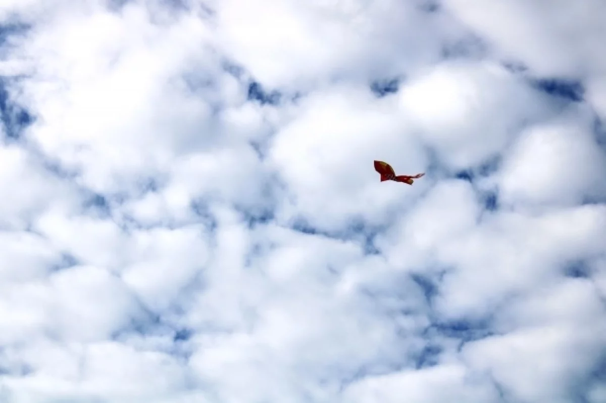 В центральных районах Карелии ожидается усиление ветра