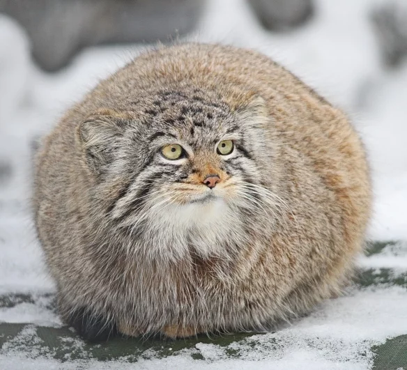 У каждого свой характер.