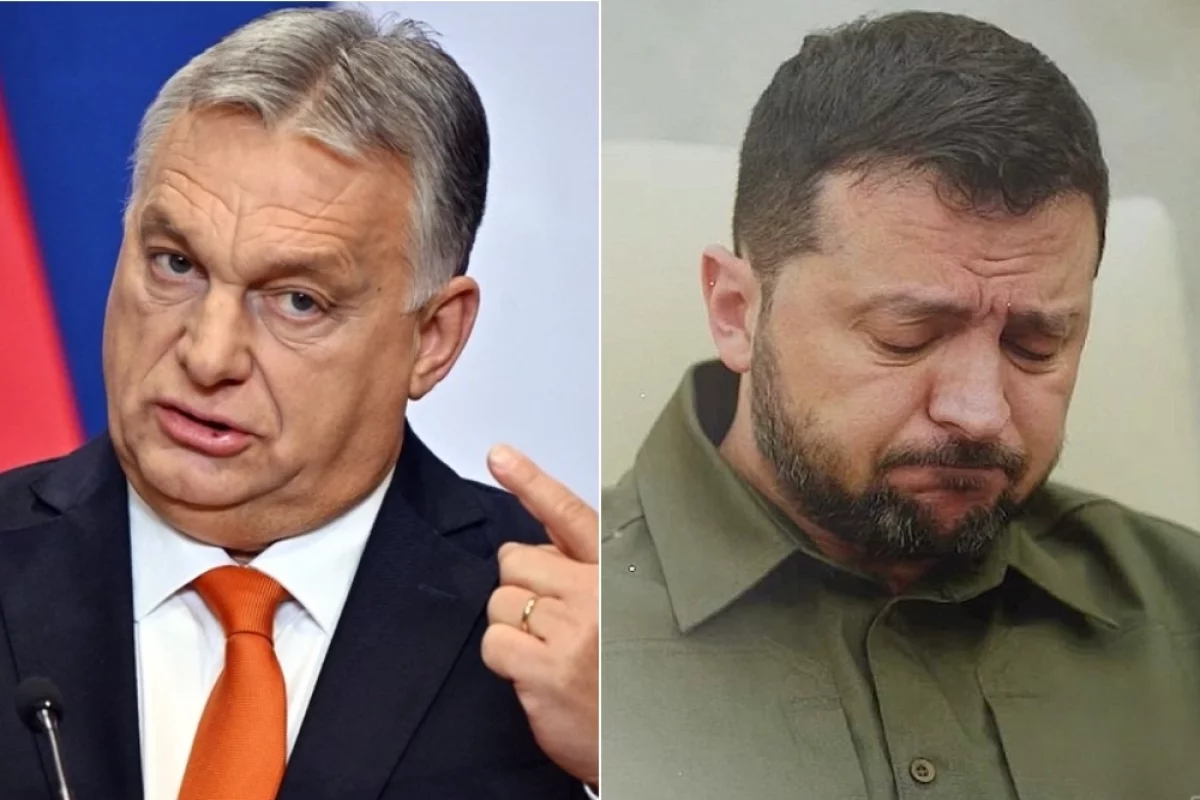 Зеленский ответит: Орбан в ярости, боевики ВСУ преследуют его жену и детей