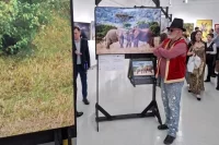 Гость фестиваля перед фото «Мир, пожалуйста!» фотографа из России Сергея Савви, запечатлевшего двух слонов в Кении. 