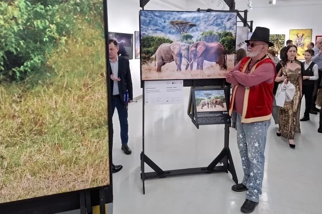 Гость фестиваля перед фото «Мир, пожалуйста!» фотографа из России Сергея Савви, запечатлевшего двух слонов в Кении. 