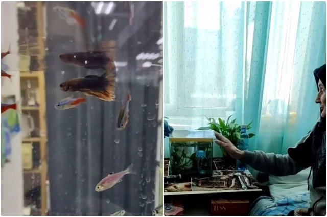 Владимир был очень рад рыбке