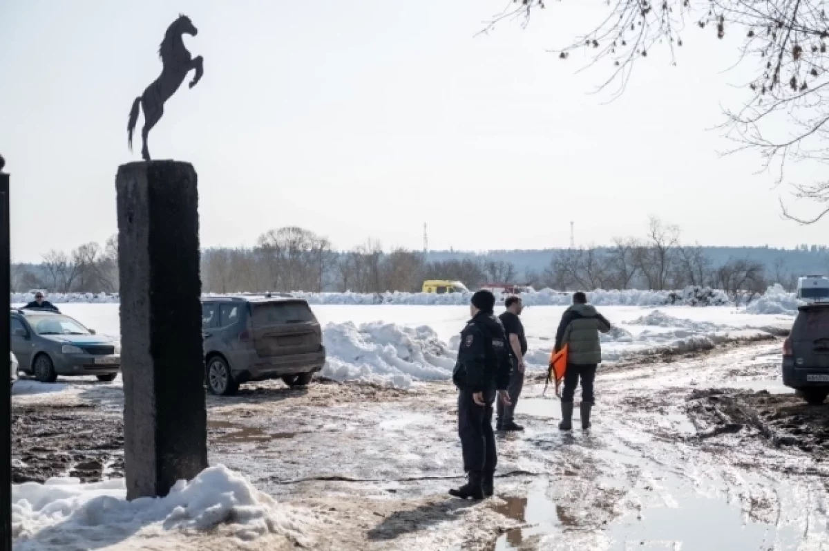 Установлены личности двух мальчиков, утонувших в Звенигороде