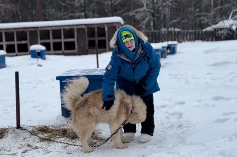 Светлана Семёнова учит гостей основам собачьего этикета. Гладить нужно за бочок.