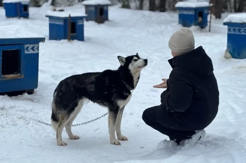 Общительная Стрекоза с разноцветными глазами.