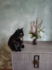 Котя