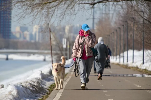 Выходные порадуют отсутствием дождей. 