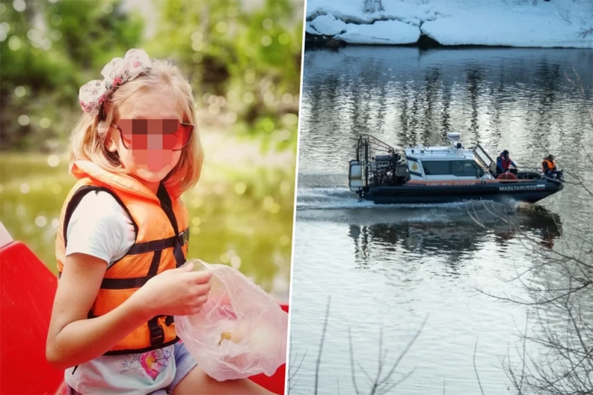 СК раскрыл детали о найденном в Звенигороде теле пропавшей Алины