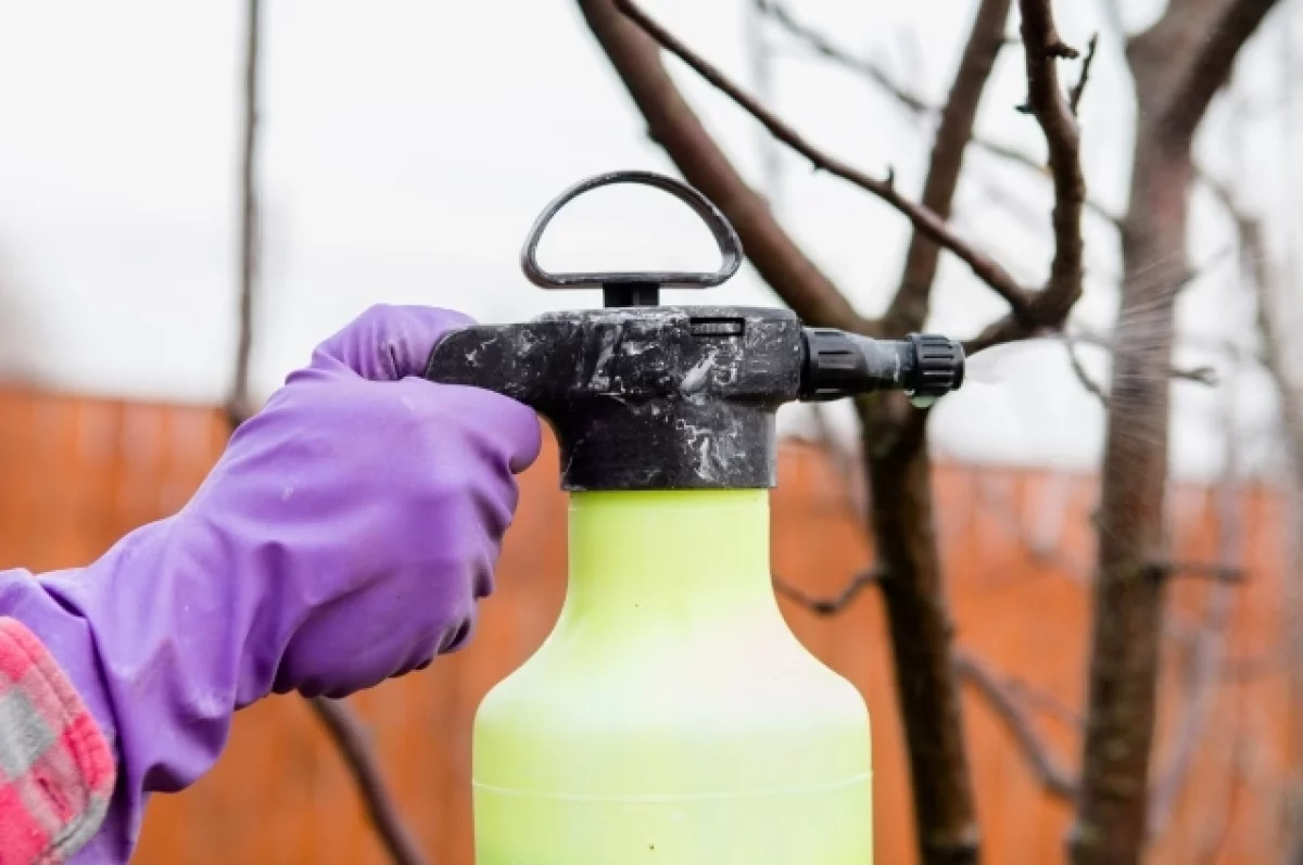 Урожай под прикрытием. Как и в какие сроки нужно весной обрабатывать сад