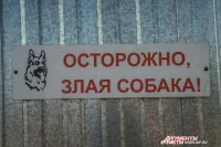 Именно бездействие органов местного самоуправления привело к нападению на ребенка в Ясном. 