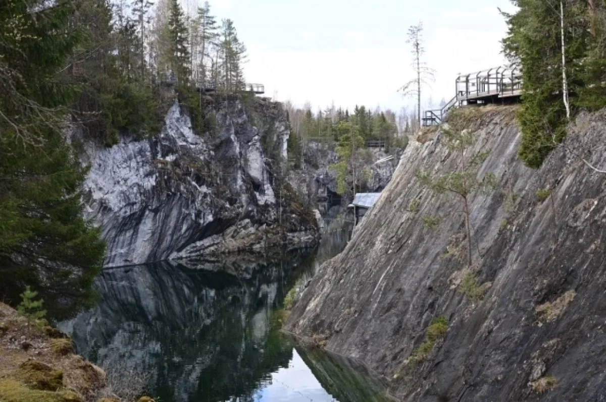 Верёвочный парк «Башня» могут открыть в Карелии к июлю