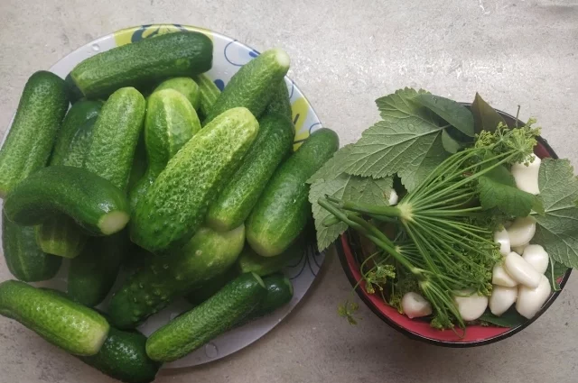 — Зимой цена на огурцы в некоторых магазинах Коми доходила почти до 600 рублей