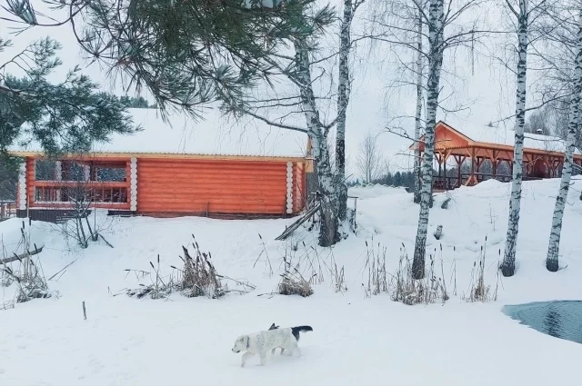 Колногорово