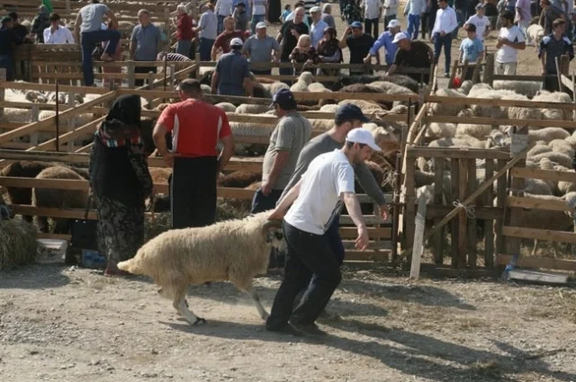 Через два месяца для мусульман наступит Праздник жертвоприношения.