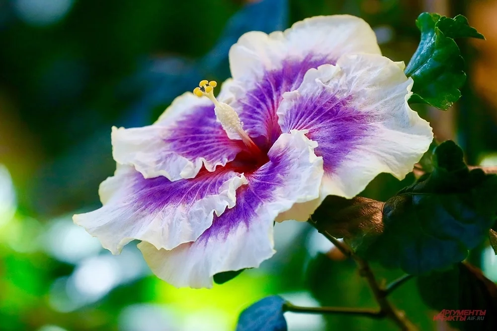 Фото