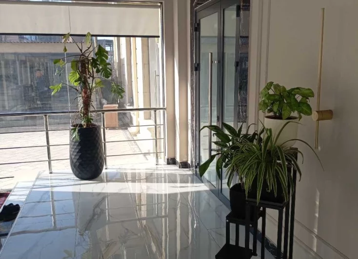 Везде стоят цветы в больших горшках и круглый год растут пальмы.