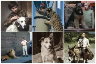 Эпизоды с участием животных запоминаются зрителям надолго. 