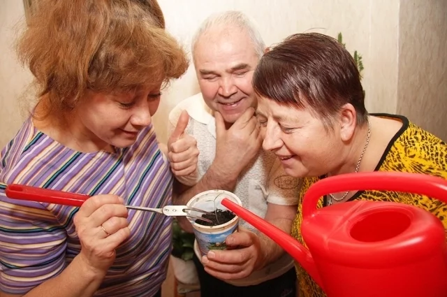 Не все культуры можно пикировать