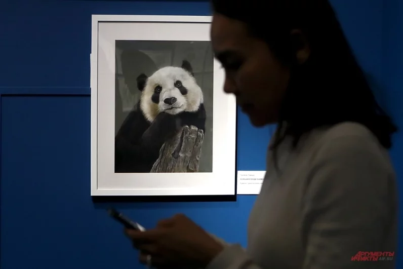 Портретной живописи в классическом понимании на выставке нет, однако можно увидеть портрет панды – символа Китая.