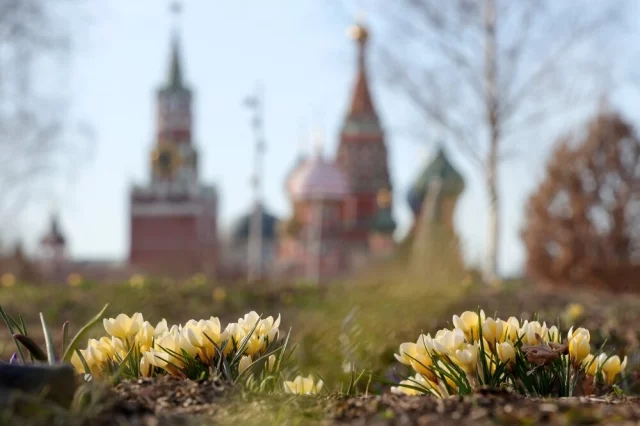 Цветы можно найти как во дворах, так и на территориях столичных парков. 