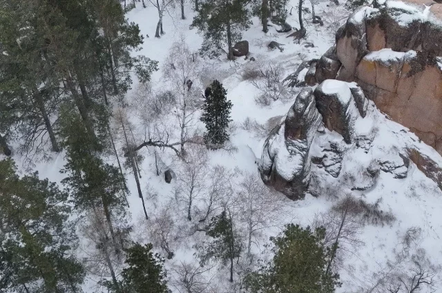 В деле об исчезнувшем в нацпарке Красноярские Столбы спецназовце могут появиться новые важные детали