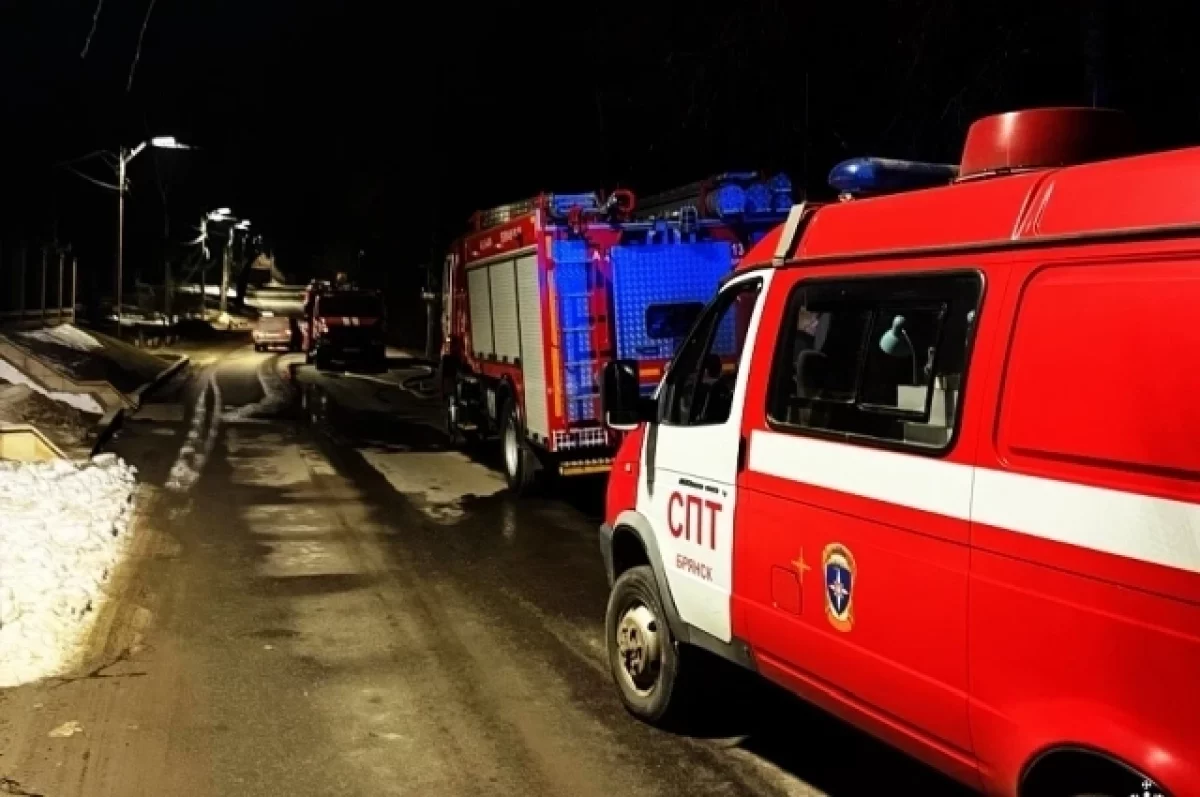 В Брянске на пожаре в частном доме на Плодородной улице погиб человек