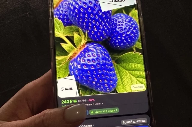 Саженцы клубники синего цвета предлагает покупателям один из продавцов. 