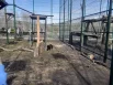 Для Багиры оборудовали просторный и удобный вольер.