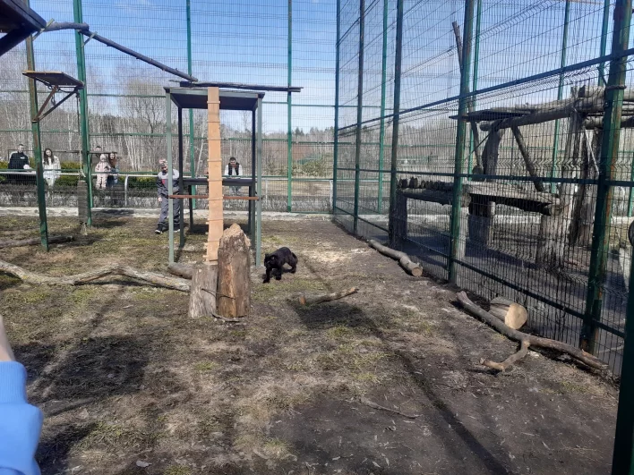 Для Багиры оборудовали просторный и удобный вольер.