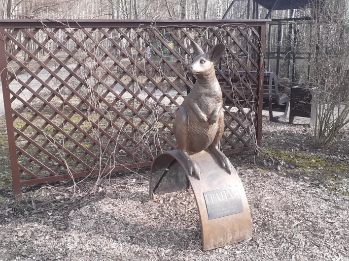 Памятник кенгуру беннета Гранди, погибшей при обстреле в марте 2024 года.