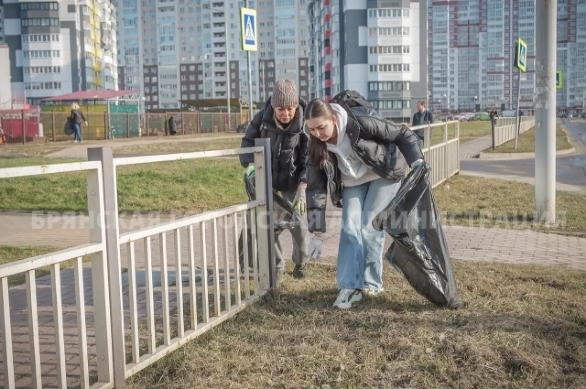 Мэрия Брянска позвала горожан на субботник 28 марта