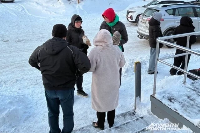 Молодые люди предлагают сделать фото.